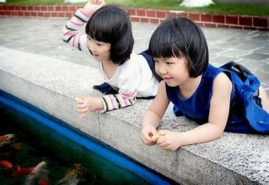 水乳交融一和如胶似漆区别