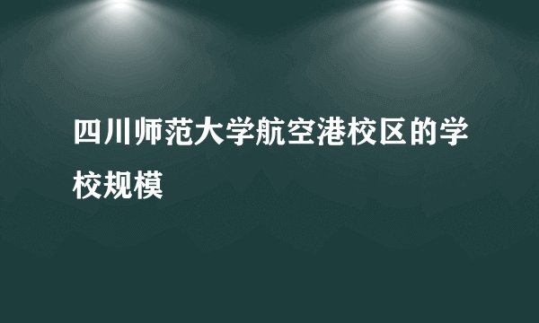 四川师范大学航空港校区的学校规模