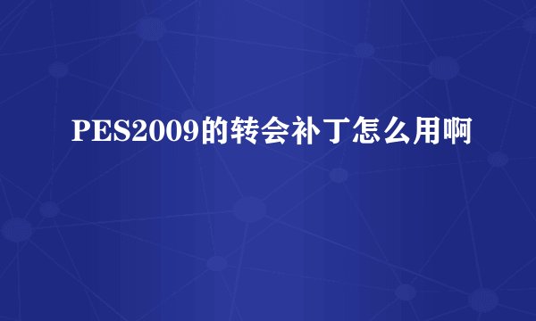PES2009的转会补丁怎么用啊