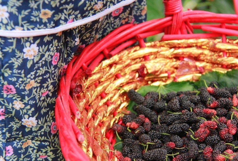 防城港红豆网的介绍