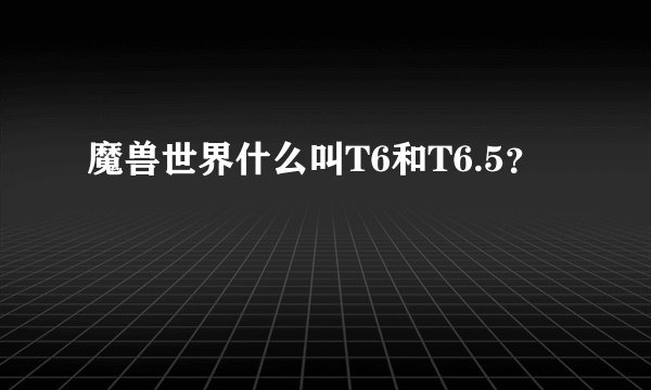 魔兽世界什么叫T6和T6.5？