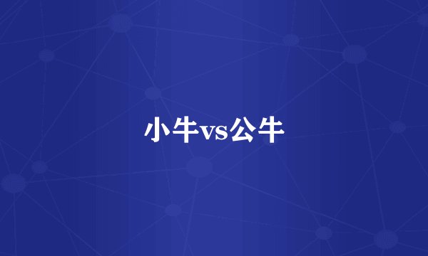小牛vs公牛