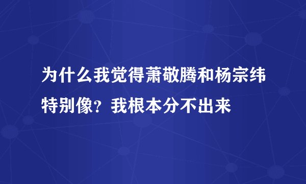 为什么我觉得萧敬腾和杨宗纬特别像？我根本分不出来