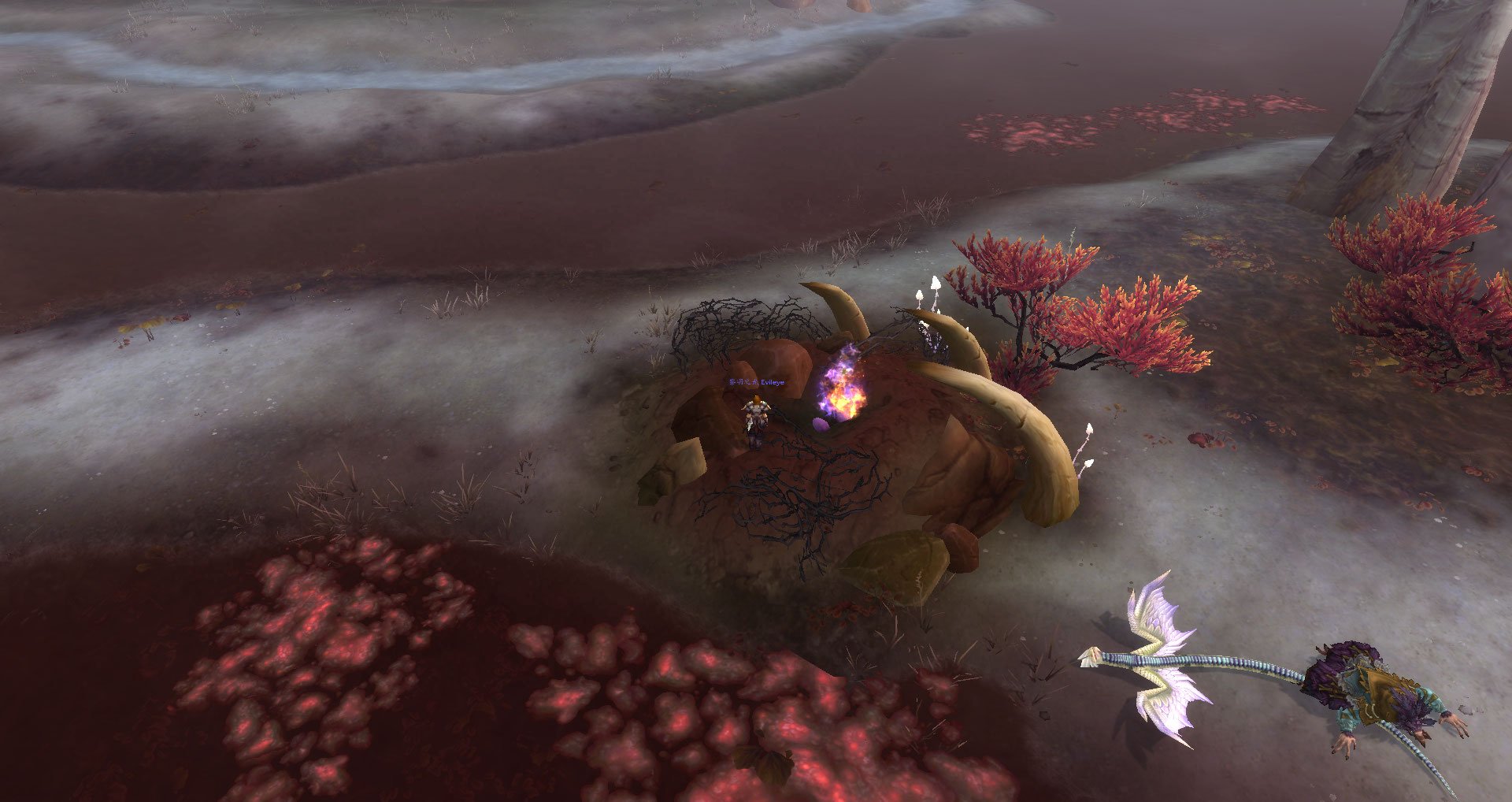 魔兽世界鸭神的凝视怎么做啊