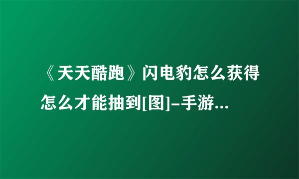 《天天酷跑》闪电豹怎么获得怎么才能抽到[图]-手游攻略-游戏鸟手游网
