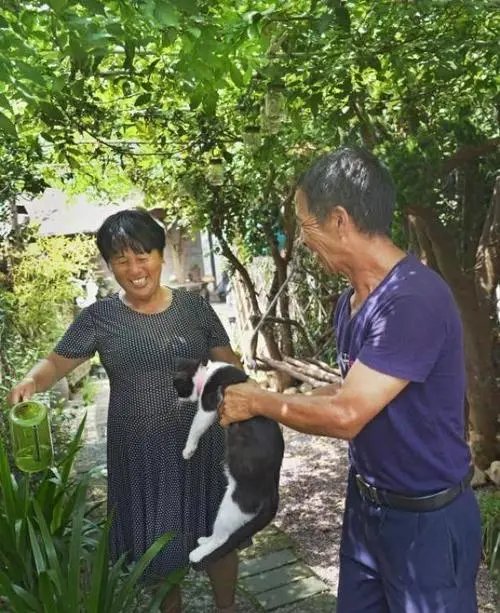 黑龙江六旬大爷杀害新婚20多天妻子，此案件中涉及哪些法律问题？