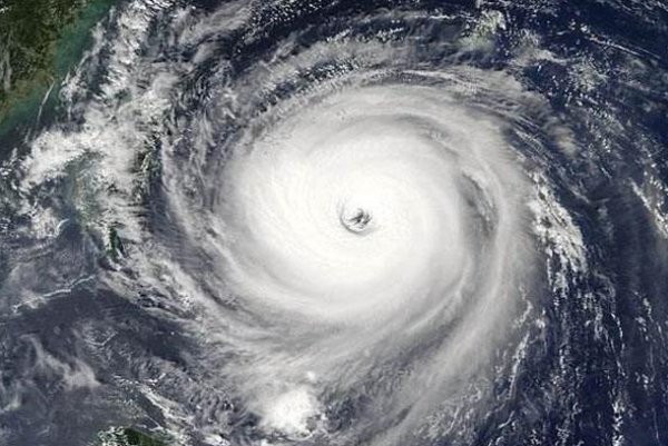 杜苏芮读音是什么？