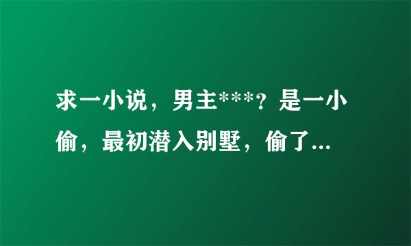求一小说，男主***？是一小偷，最初潜入别墅，偷了钻戒打破窗子，救出了被绑架的女主