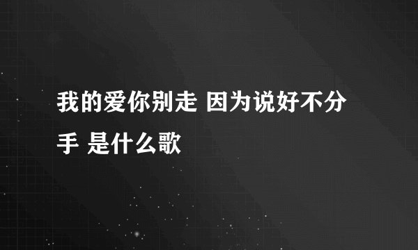 我的爱你别走 因为说好不分手 是什么歌