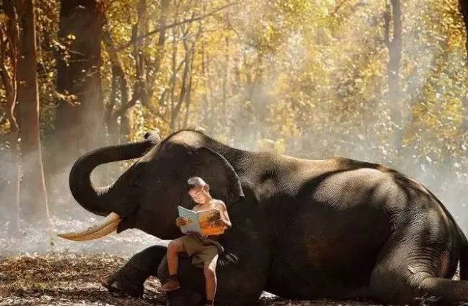 人文艺术的英文是什么？