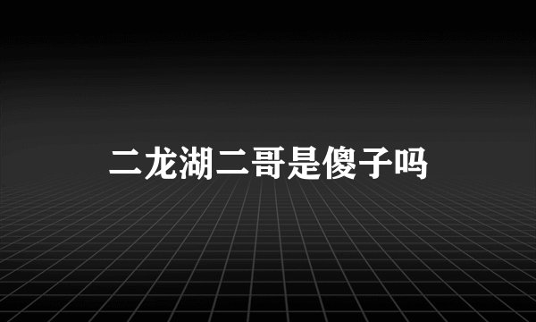 二龙湖二哥是傻子吗