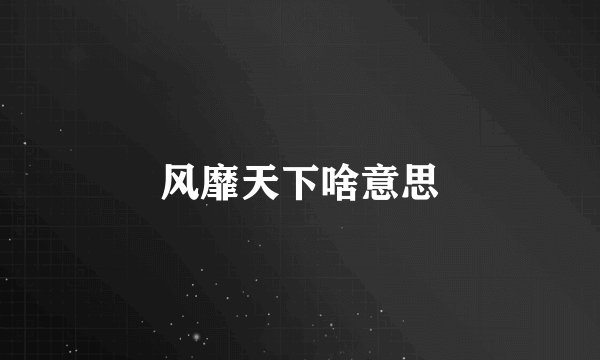 风靡天下啥意思