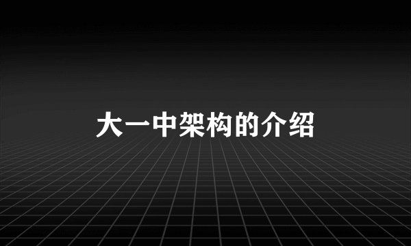 大一中架构的介绍
