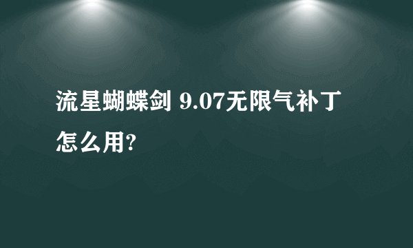 流星蝴蝶剑 9.07无限气补丁怎么用?