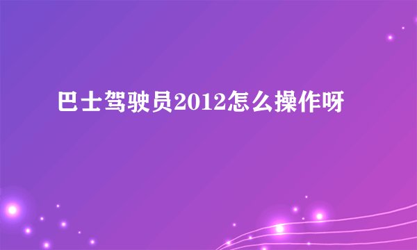 巴士驾驶员2012怎么操作呀