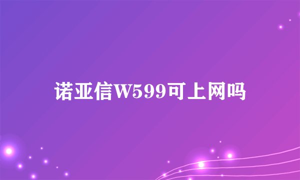 诺亚信W599可上网吗