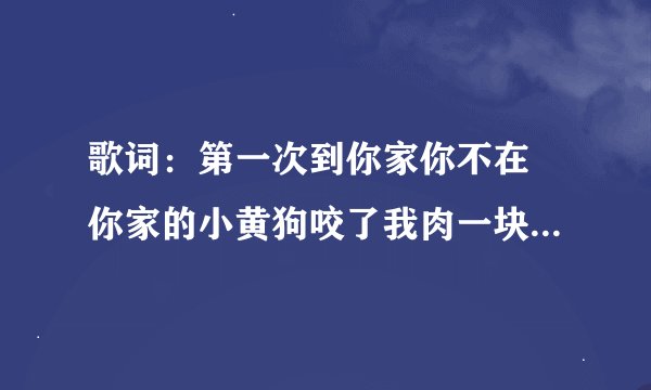 歌词：第一次到你家你不在 你家的小黄狗咬了我肉一块    歌叫什么名字，哪里有下载？