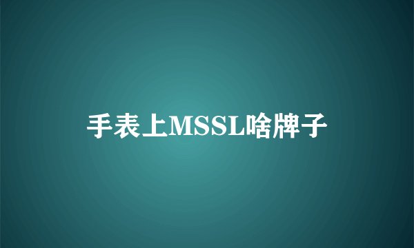 手表上MSSL啥牌子
