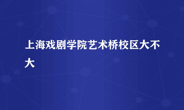 上海戏剧学院艺术桥校区大不大
