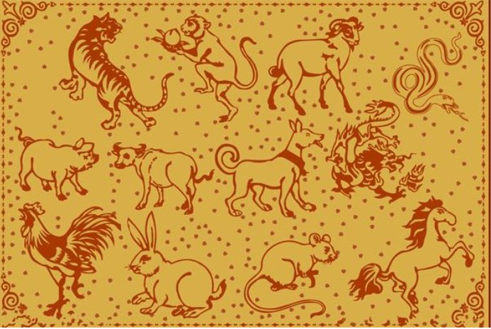 焦心如焚打一准确生肖