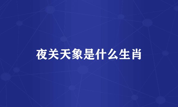 夜关天象是什么生肖