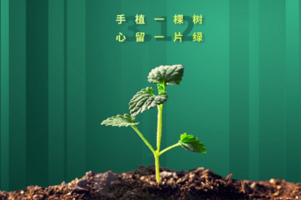 植树节短句八个字