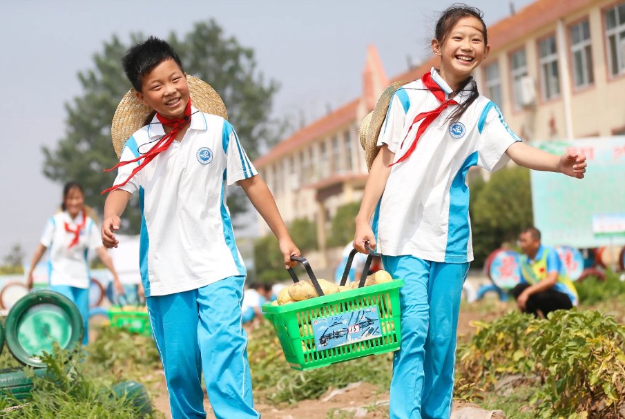 调查：中小学生劳动教育脱离日常，这一切根源在哪里呢？