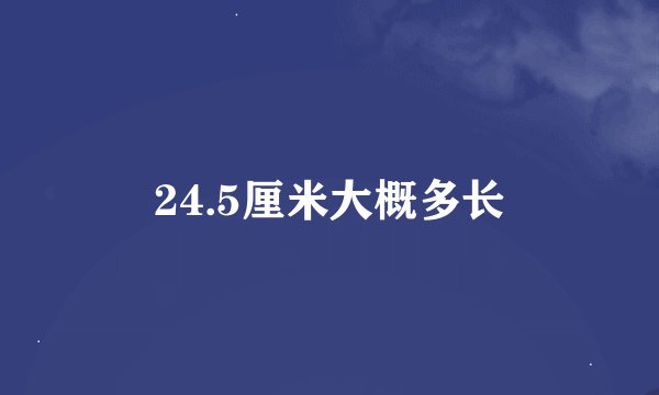 24.5厘米大概多长
