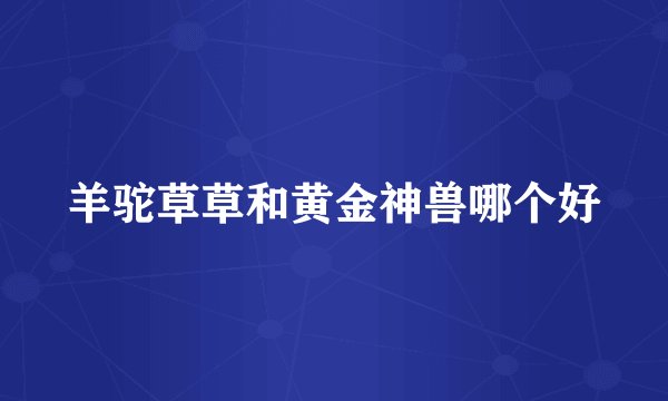 羊驼草草和黄金神兽哪个好