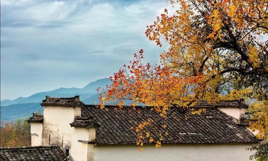 怎样理解“生”与“活”？