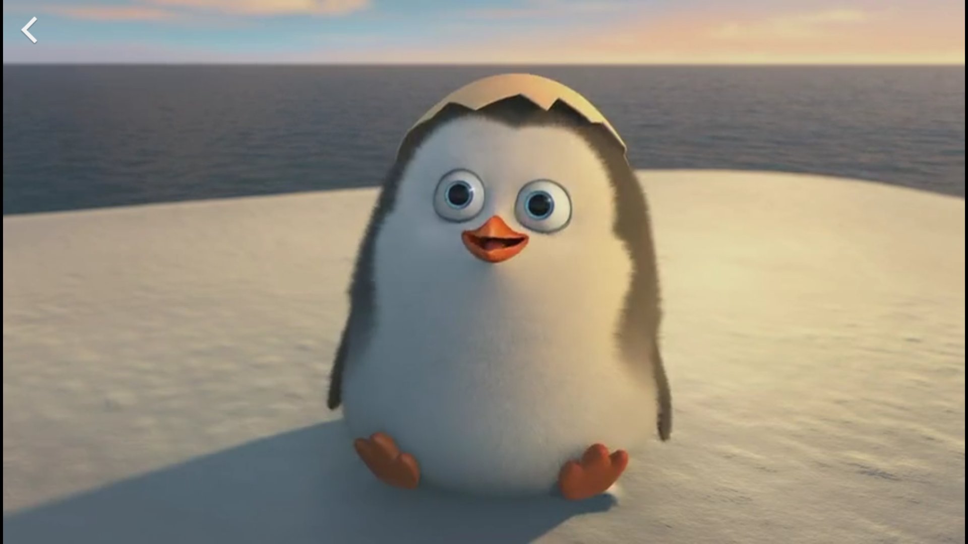 企鹅社区的企鹅社区指南