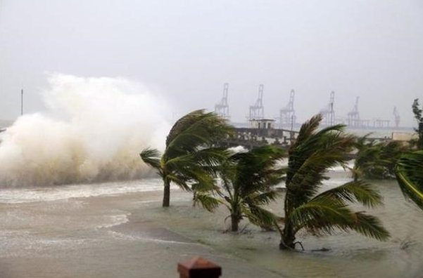 杜苏芮读音是什么？