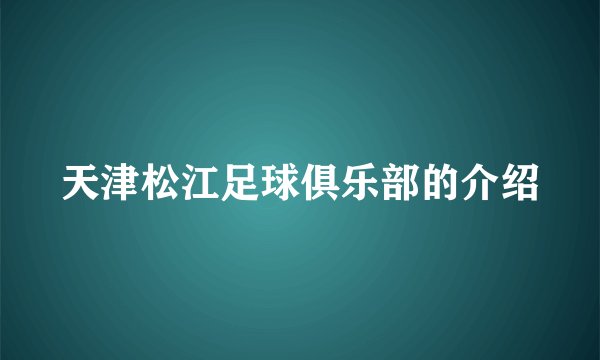 天津松江足球俱乐部的介绍