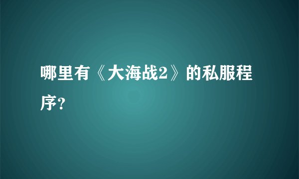 哪里有《大海战2》的私服程序？