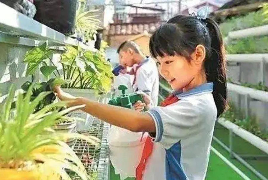 调查：中小学生劳动教育脱离日常，这一切根源在哪里呢？