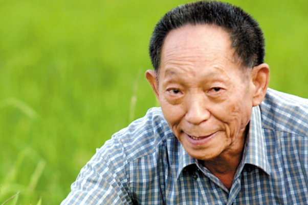 袁隆平故事简短10字