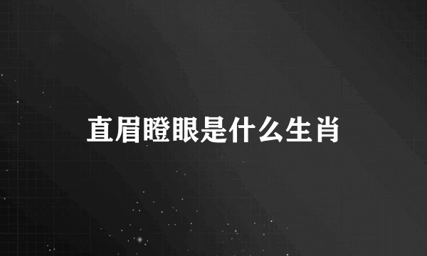 直眉瞪眼是什么生肖