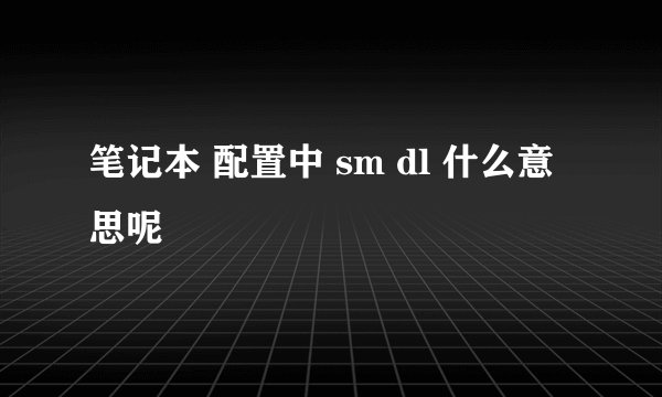 笔记本 配置中 sm dl 什么意思呢