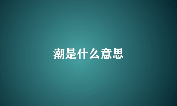 潮是什么意思