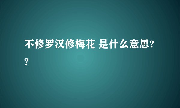 不修罗汉修梅花 是什么意思??