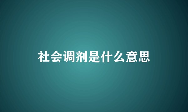 社会调剂是什么意思