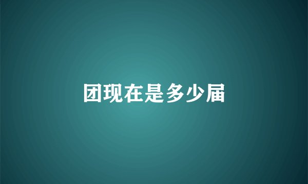 团现在是多少届