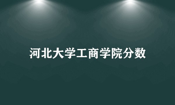 河北大学工商学院分数