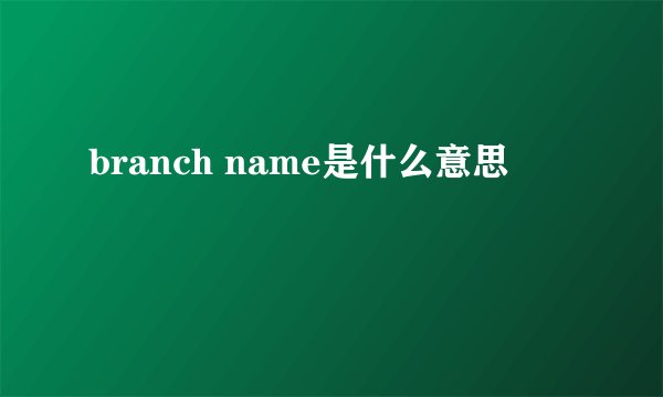 branch name是什么意思