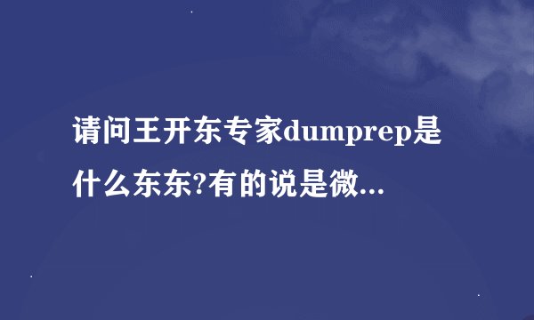 请问王开东专家dumprep是什么东东?有的说是微软错误报告,有的说是内核检查,内存转储,到底是什么啊?