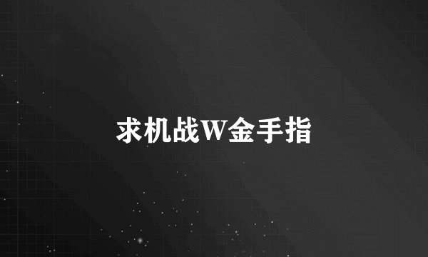 求机战W金手指
