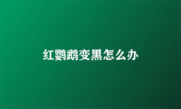 红鹦鹉变黑怎么办
