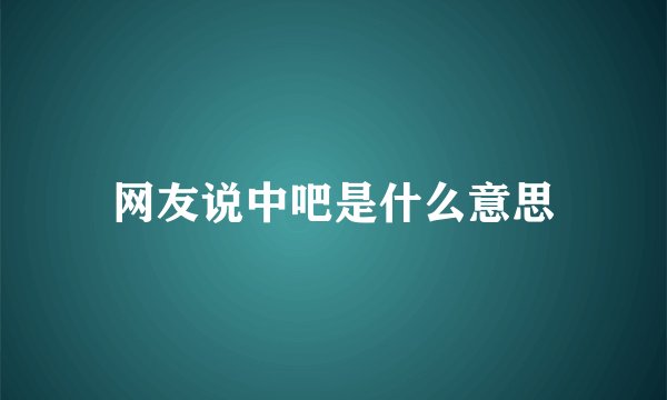 网友说中吧是什么意思
