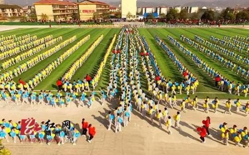 七步诗是什么生肖