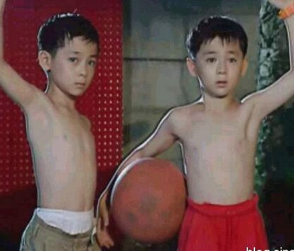 张宇豪的个人经历